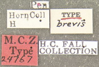 Media type: image;   Entomology 24767 Aspect: labels